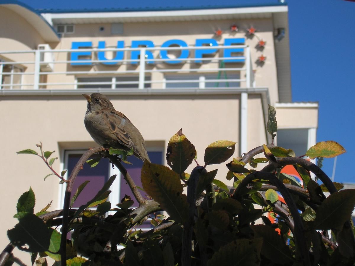 Гостевой дом Europe Guesthouse Нарва-23